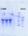 Thumbnail for version as of 14:06, 26 December 2014