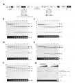 Thumbnail for version as of 17:22, 10 August 2014