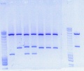 Thumbnail for version as of 16:57, 31 October 2010
