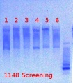 Thumbnail for version as of 15:20, 16 July 2012