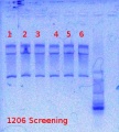 Thumbnail for version as of 15:20, 16 July 2012