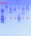 Thumbnail for version as of 17:01, 4 March 2013