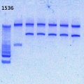 Thumbnail for version as of 14:53, 7 February 2013