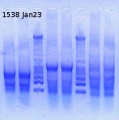Thumbnail for version as of 17:36, 28 January 2013