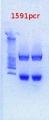 Thumbnail for version as of 16:51, 30 January 2013