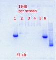 Thumbnail for version as of 10:38, 15 January 2014