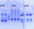 Thumbnail for version as of 17:21, 30 January 2015