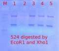 Thumbnail for version as of 11:54, 24 January 2012