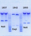 Thumbnail for version as of 15:07, 6 December 2013
