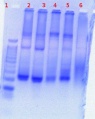 Thumbnail for version as of 15:22, 20 July 2011