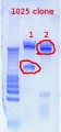 Thumbnail for version as of 14:13, 22 March 2012