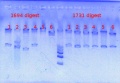 Thumbnail for version as of 14:50, 3 May 2013