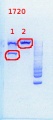 Thumbnail for version as of 14:28, 26 July 2013