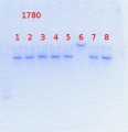 Thumbnail for version as of 16:27, 22 July 2013