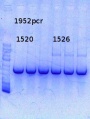 Thumbnail for version as of 16:27, 19 December 2013