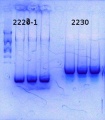 Thumbnail for version as of 11:04, 3 July 2014