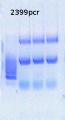 Thumbnail for version as of 17:16, 13 January 2015