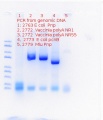 Thumbnail for version as of 16:12, 6 June 2020