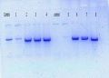 Thumbnail for version as of 09:51, 28 June 2016