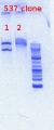 Thumbnail for version as of 14:53, 23 May 2012