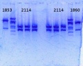 Thumbnail for version as of 12:48, 10 March 2014