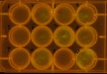 Thumbnail for version as of 14:21, 26 March 2011