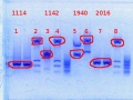 Thumbnail for version as of 17:25, 14 February 2014