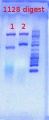 Thumbnail for version as of 15:32, 25 May 2012