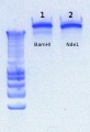 Thumbnail for version as of 14:15, 27 June 2012