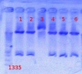 Thumbnail for version as of 13:56, 24 August 2012