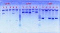 Thumbnail for version as of 14:25, 4 September 2012