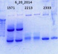 Thumbnail for version as of 14:49, 10 July 2014