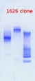 Thumbnail for version as of 16:15, 27 February 2013