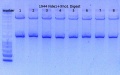 Thumbnail for version as of 10:47, 29 April 2015
