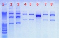 Thumbnail for version as of 13:43, 12 July 2011