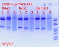 Thumbnail for version as of 12:28, 7 September 2019