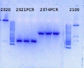 Thumbnail for version as of 16:59, 21 November 2014