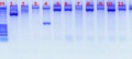 Thumbnail for version as of 11:36, 24 June 2011