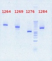 Thumbnail for version as of 13:14, 3 August 2012