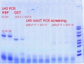 Thumbnail for version as of 16:18, 8 November 2018