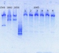 Thumbnail for version as of 17:49, 6 March 2014