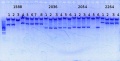 Thumbnail for version as of 15:48, 28 July 2014