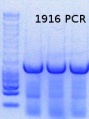 Thumbnail for version as of 17:44, 18 May 2015