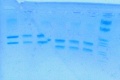 Thumbnail for version as of 18:11, 4 March 2014