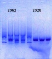 Thumbnail for version as of 16:58, 20 February 2014