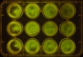 Thumbnail for version as of 10:04, 13 January 2012