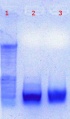 Thumbnail for version as of 15:29, 24 June 2011