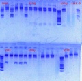 Thumbnail for version as of 18:50, 16 January 2013