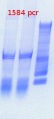 Thumbnail for version as of 13:58, 5 February 2013