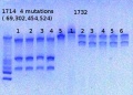 Thumbnail for version as of 14:06, 10 April 2013
